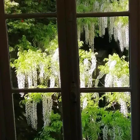 Romantic Garden Sea View Nervi Apartment